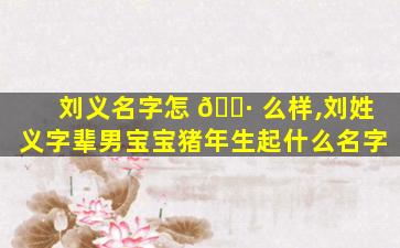 刘义名字怎 🌷 么样,刘姓义字辈男宝宝猪年生起什么名字